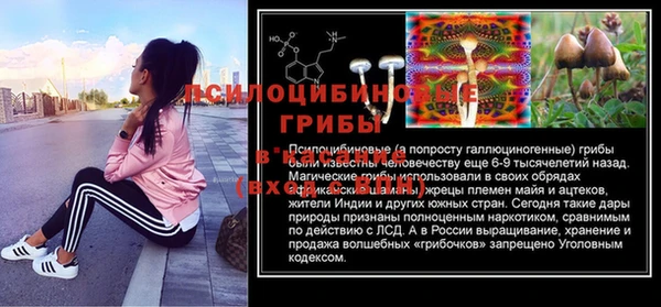 а пвп мука Касимов