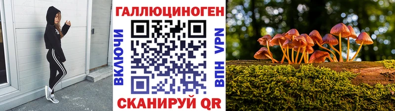 Псилоцибиновые грибы мицелий  хочу   Нестеровская 